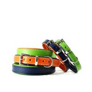 Collars, Harnesses and Leads