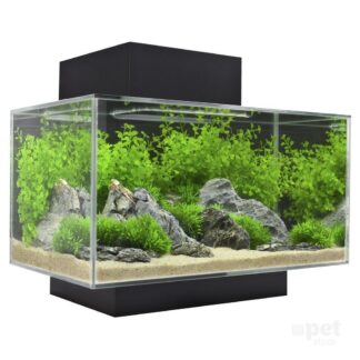 Aquariums and Accessories